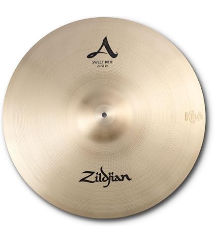 Amazon.com: Zildjian A0034 20